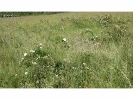 cherche terrain  friche  petit prix