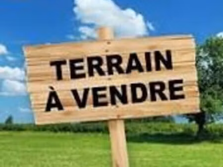 terrain constructible