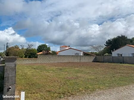 terrain constructible