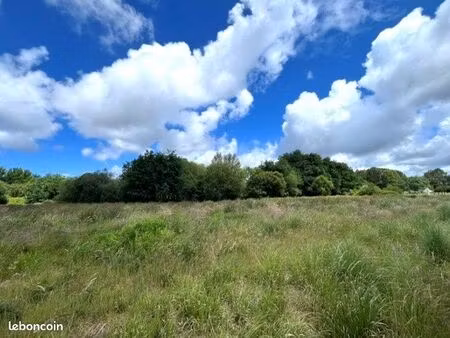 terrain 2438 m² angresse