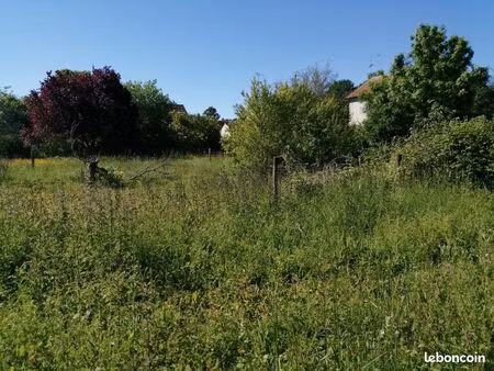 terrain constructible