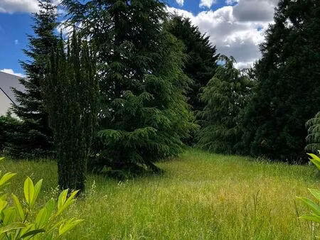 a vendre terrain constructible 1044 m2