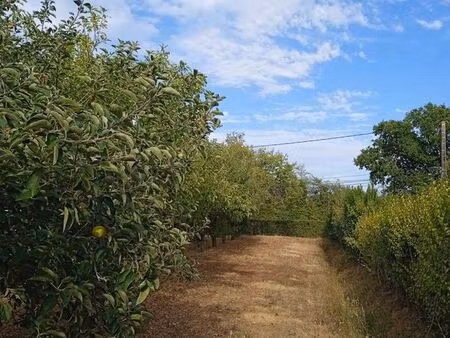 vente terrain à construire