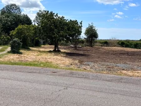 terrain constructible