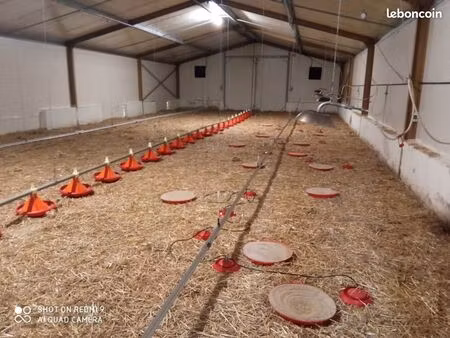 exploitation agricole  élevage canards caprins ovins équins autres