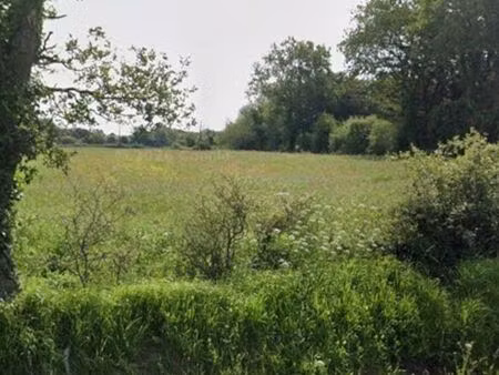recherche terrain guérande et au alentours
