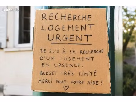 recherche logement urgent ‼️