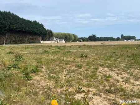 terrain 520 m² maze
