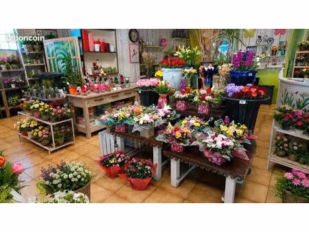 fonds de commerce fleuriste agglo toulouse sud