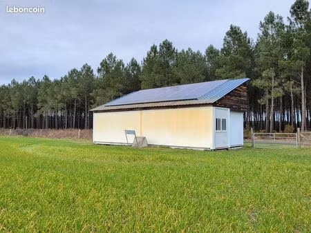 local 60 m²