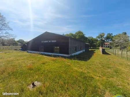 local d'activité 271 m²
