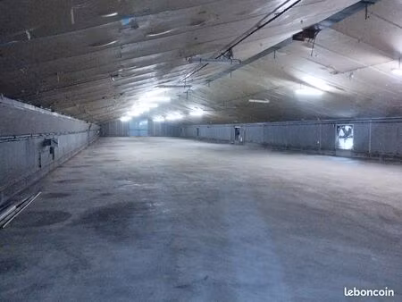 local 1200m2
