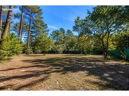 terrain 1269 m² arès