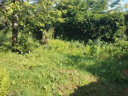 terrain 400m² plein bourg - ploeren - expo sud-ouest
