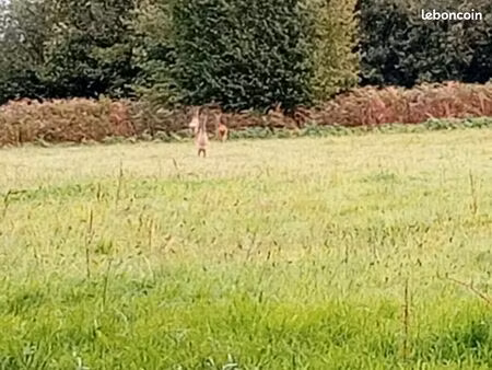 cherche petite parcelle agricole