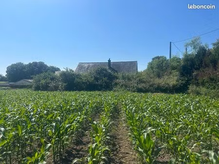maison plain pied sans voisin