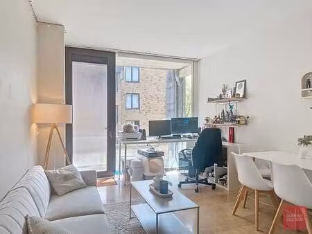 appartement 1 chambre avec terrasse à deux pas du lac