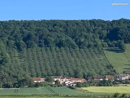 terrain à bâtir à loupmont 55300