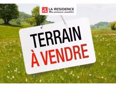 terrain