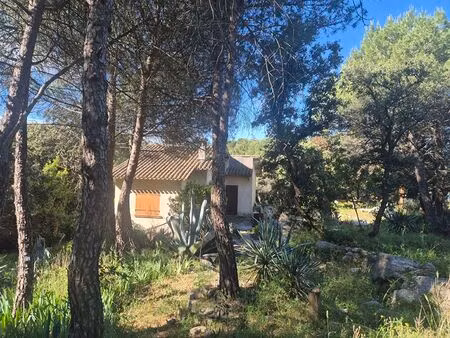 vente terrain  10100.00m²  gigean