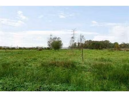 terrain agricole