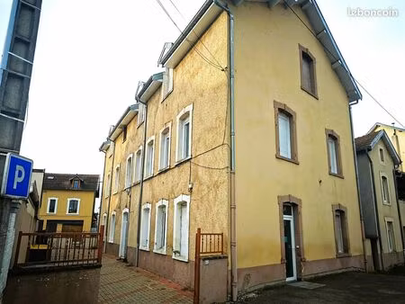 immeuble 459 m² neuves-maisons