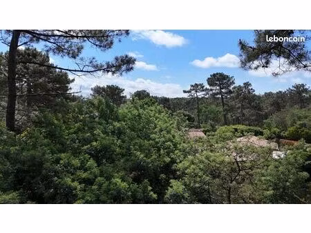 forêt 743 m² lacanau
