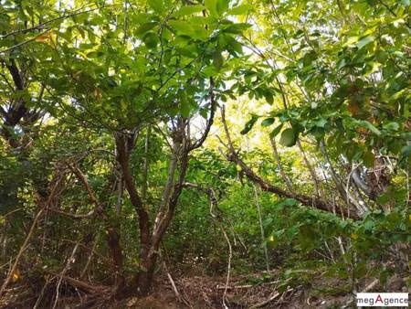 propriété de loisirs à vendre