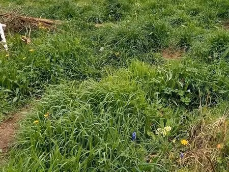 terrain ou vous pouvez être tranquille chez vous avec 1800 mde terrain