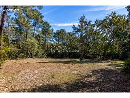 terrain 3181 m² arès