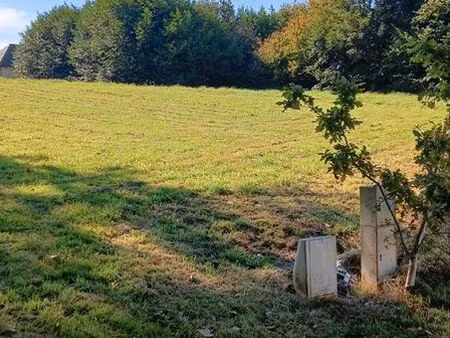 terrain constructible