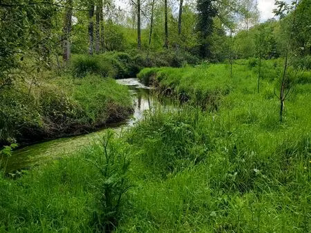 terrain  loisir  jardinage