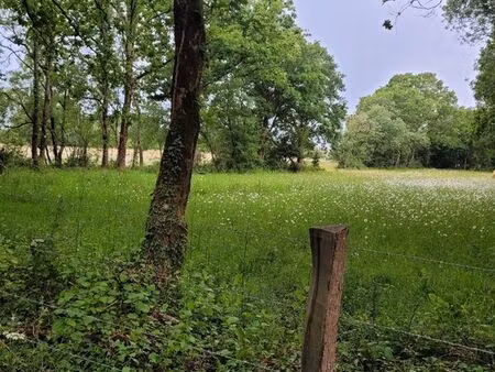 location terrain
