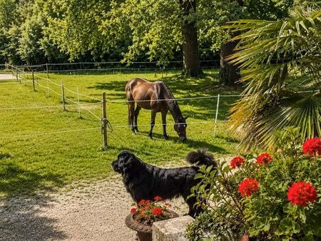 propriété de charme entre arcachon et le cap-ferret  fort potentiel -329 m² sur un parc ar
