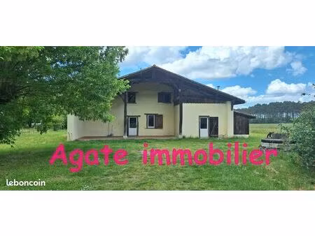 location maison en pierre captieux