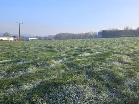 terrain 1195 m² haute avesnes