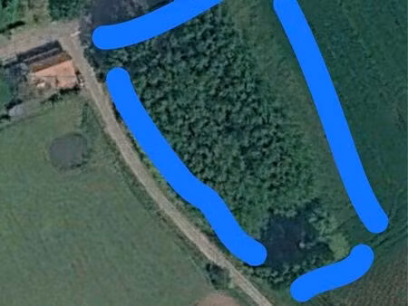 pature arborée 4500m2