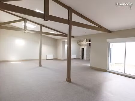 local professionnelle 200m² bastide