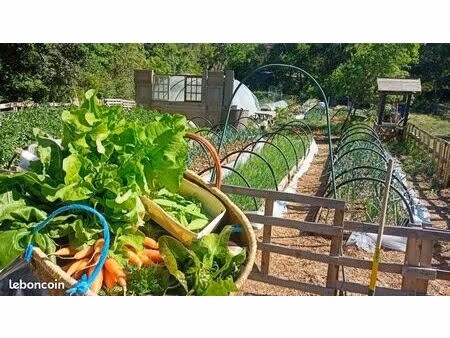 terrain potager