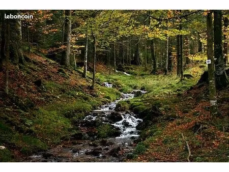 recherche d'un terrain