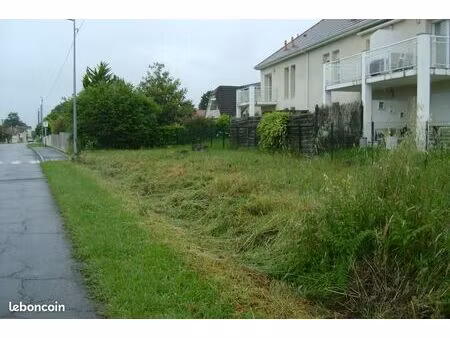 terrain constructible