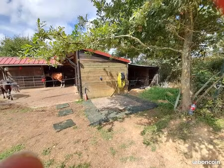 terrain agricole avec structure équestre