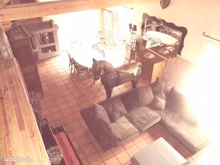 grande maison à clermont-ferrand avec terrain de style loft