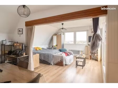 studio 1 pièce 31 m²