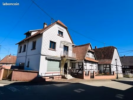 3 maisons + ancien local commercial + dépendances + jardin