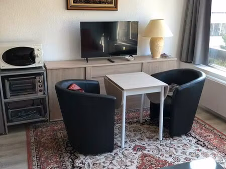 studio 22 m2 à trois epis