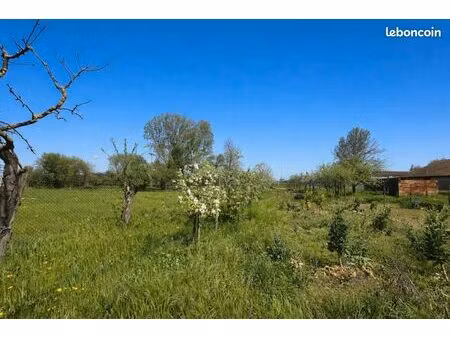 terrain 405 m² bischwihr