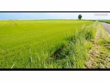 recherche terrain agricole