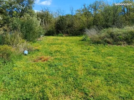 terrain constructible
