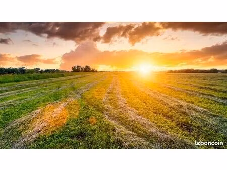 recherche terrain agricole à louer